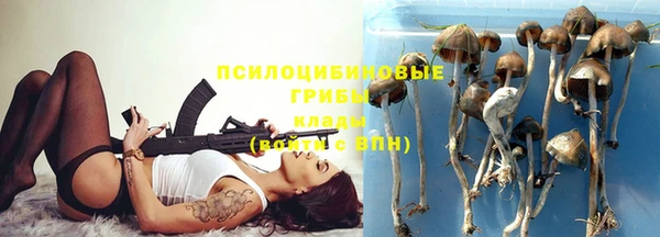 PSILOCYBIN Нефтекумск