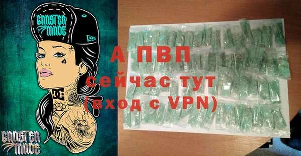 твердый Новозыбков