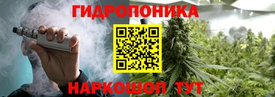 PSILOCYBIN Аргун