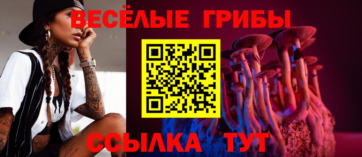Галлюциногенные грибы прущие грибы  Вход с VPN  Лабинск 